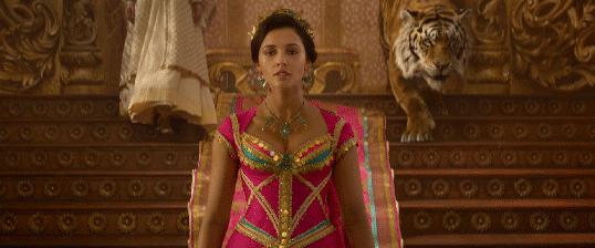 迪士尼公主和阿拉丁,迪士尼阿拉丁里面的公主