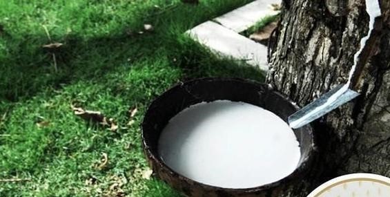 买乳胶枕有什么坑,买乳胶床垫要注意哪些坑