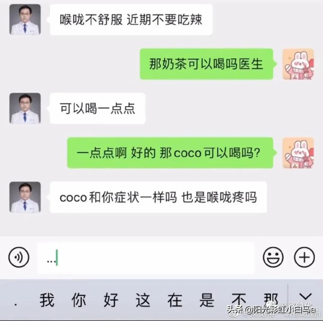 楼下的猫又开始叫了,楼下的猫一直在嗷嗷叫