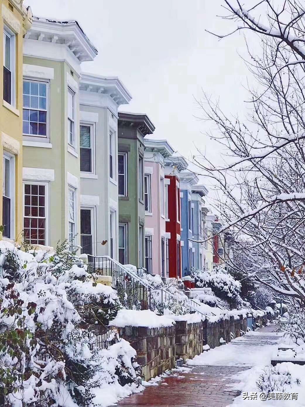 西雅图华盛顿大学与匹兹堡大学,西雅图大学在美国大学排名