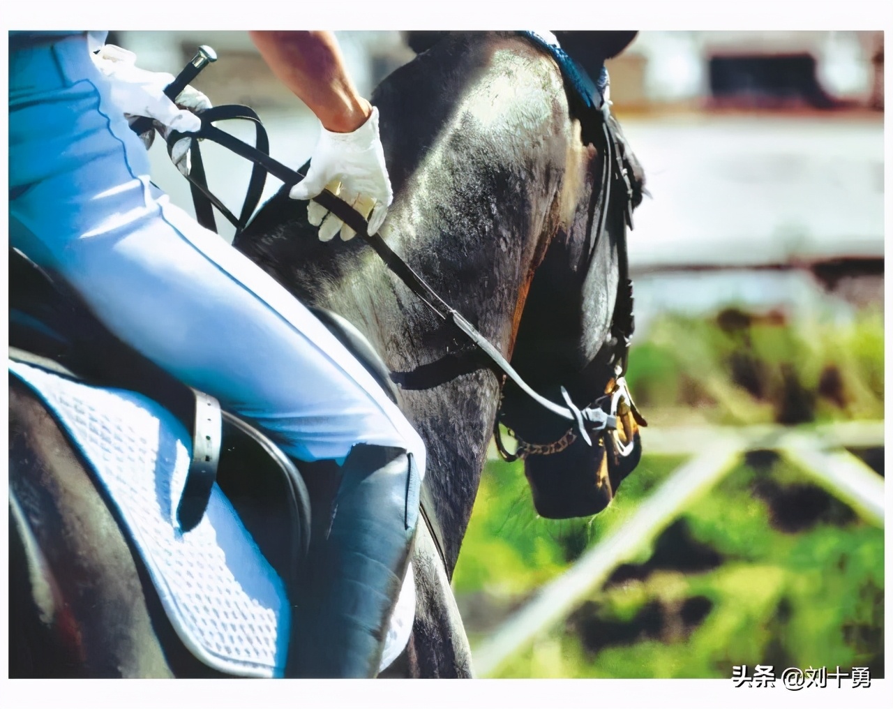 高尔夫球的文化精髓,高尔夫文化与精神