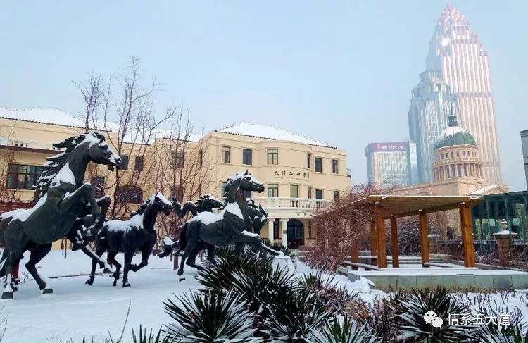 我的母校天津,我的母校20周年