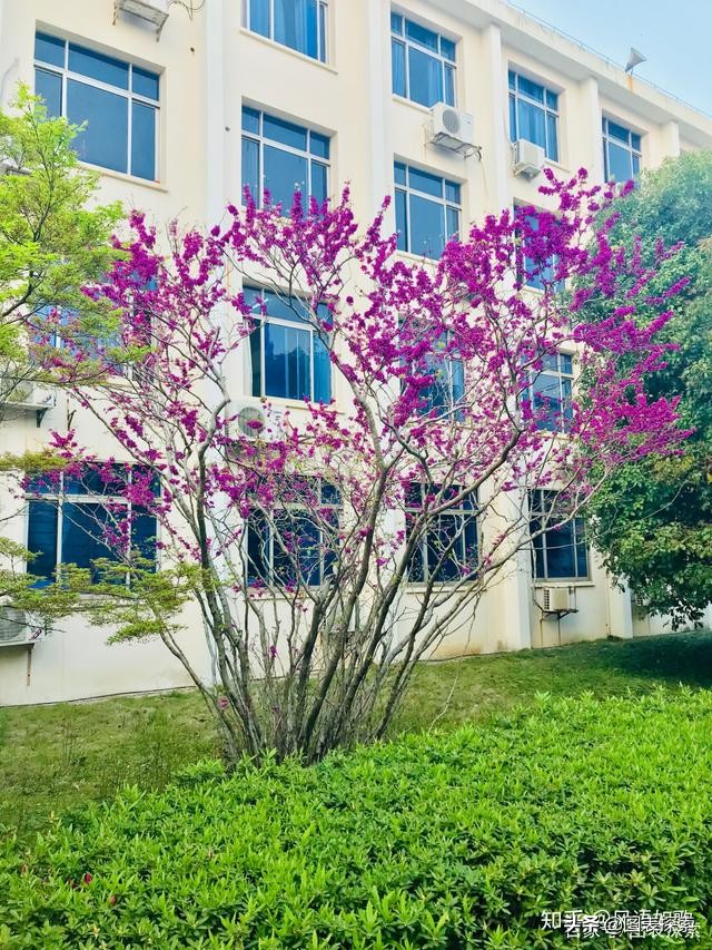 华东交通大学其实拥有上海交通大学的血脉，为何入不了交通系？