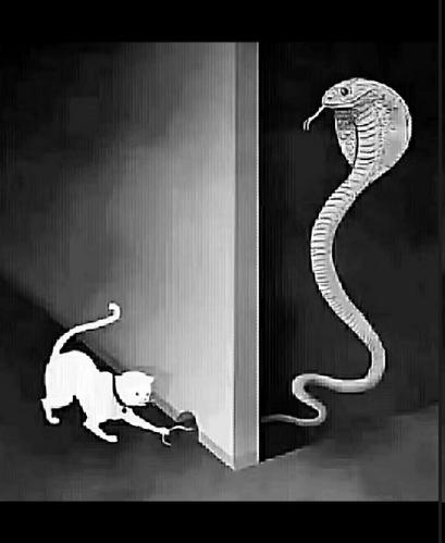 25年教龄副教授辞职当快递小老板收入和高校一样多经手43万件快递感觉充实不委屈