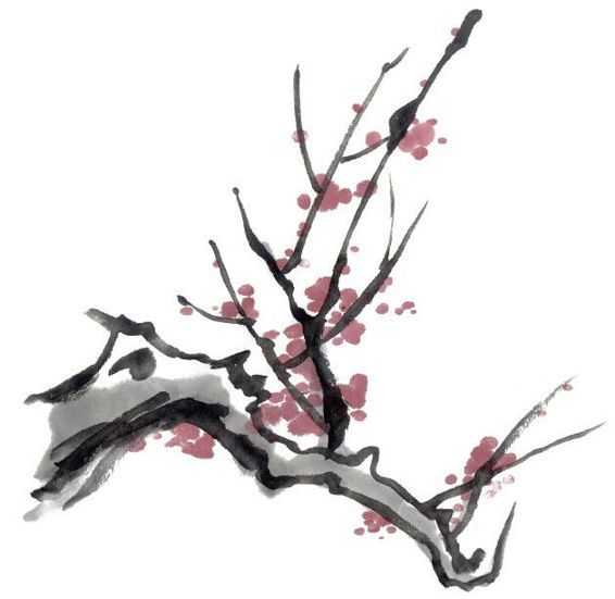 零基础梅花花朵入门画法,零基础学国画梅花入门步骤