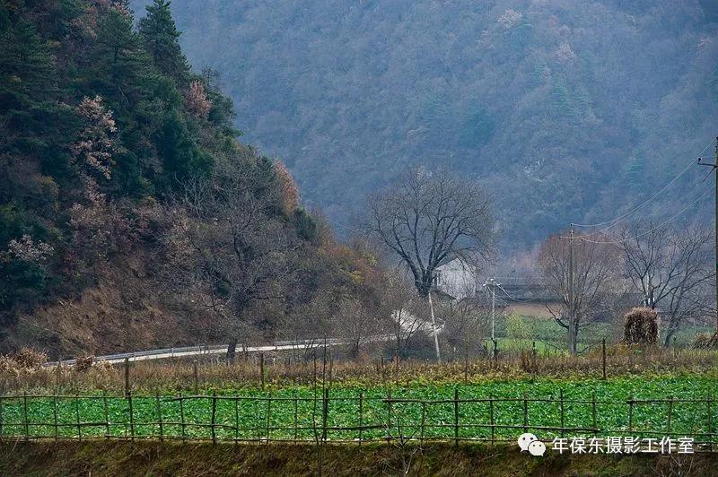 几年后有一种邀约叫：千岛为伴，鱼酒相随，我在天水曲溪等你