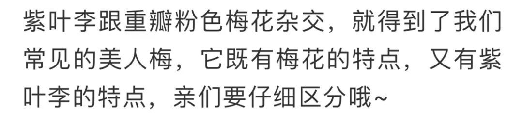 看到花的时候,不知是什么花?那就收下这份百花图谱