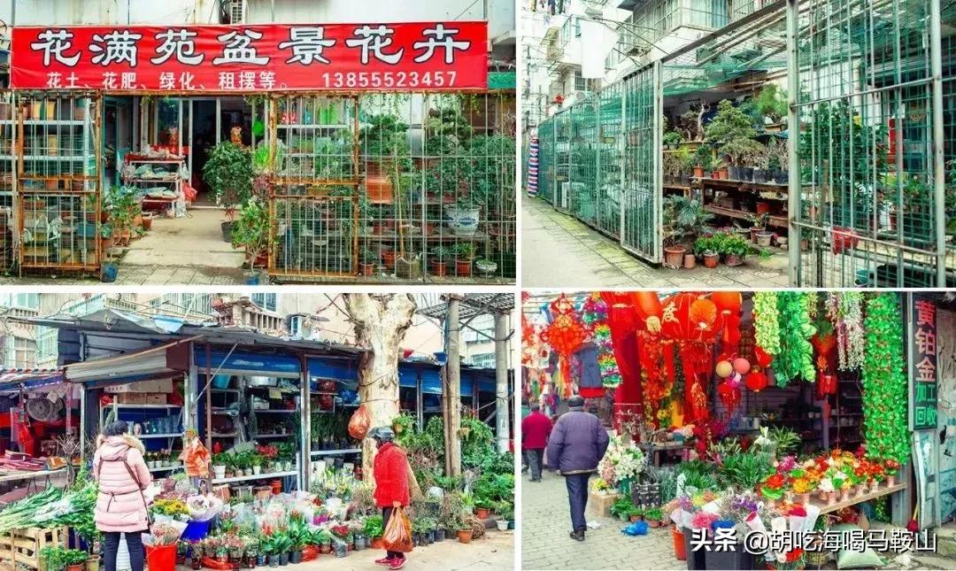 逛遍安徽各个市,安徽省马鞍山附近的大型花市