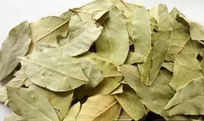 香料植物与成品解析,香料植物有哪几种