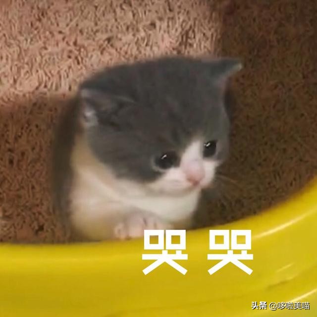 生活在一个高科技时代,我们生活在一个高科技的时代