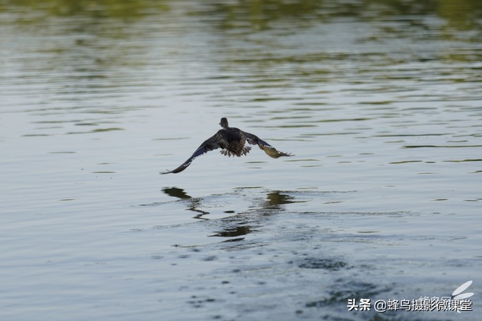 今年会出哪些全画幅微单,最强微单全画幅是r5吗