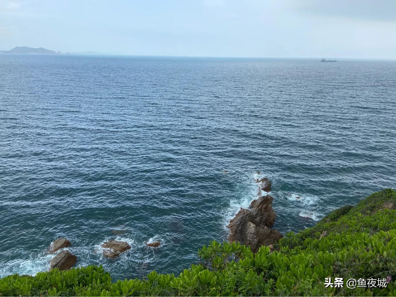 自媒体在哪个平台收益最好,自媒体平台视频收益排行榜