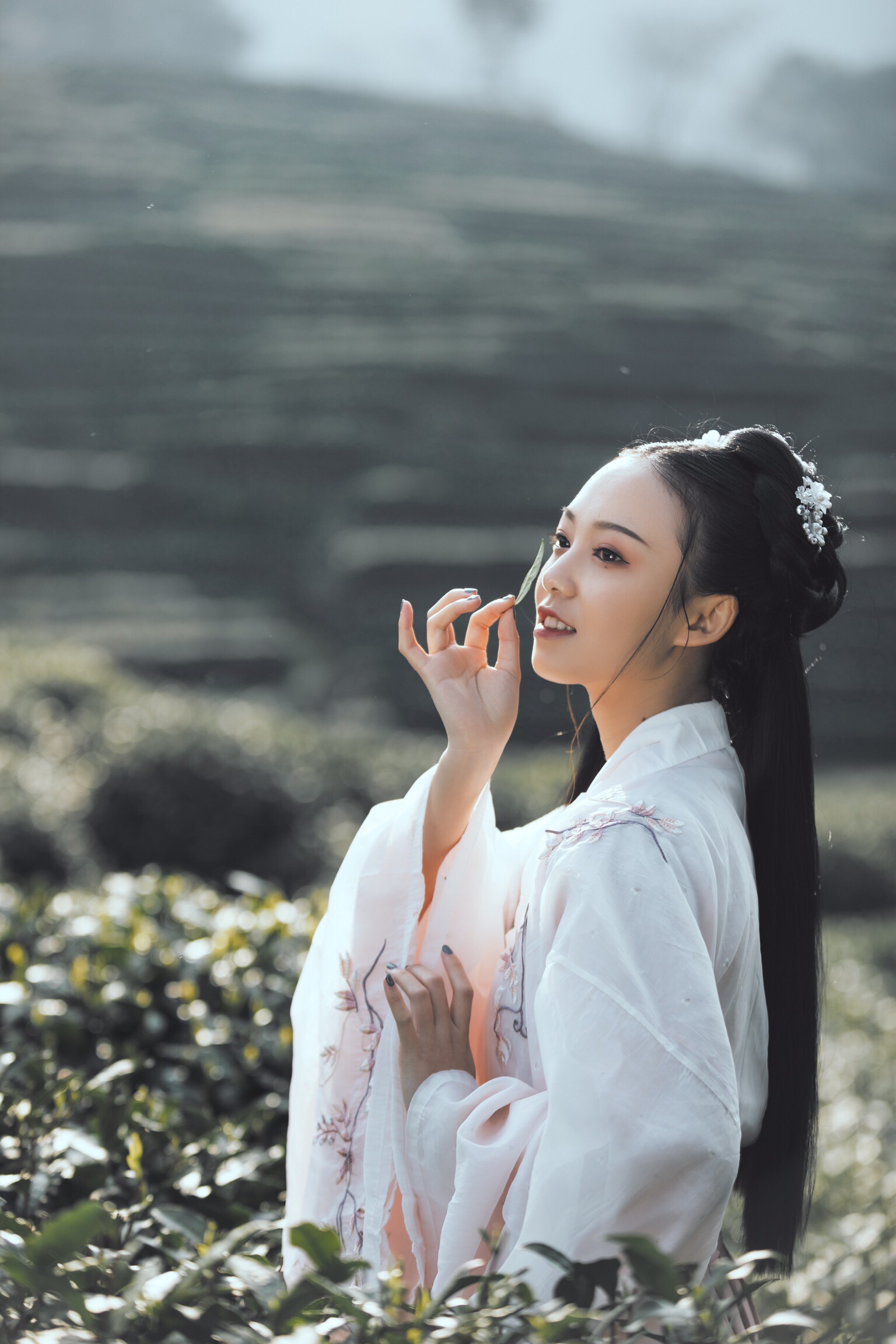 春日偶成程颢古诗速记,程颢春日偶成古诗视频