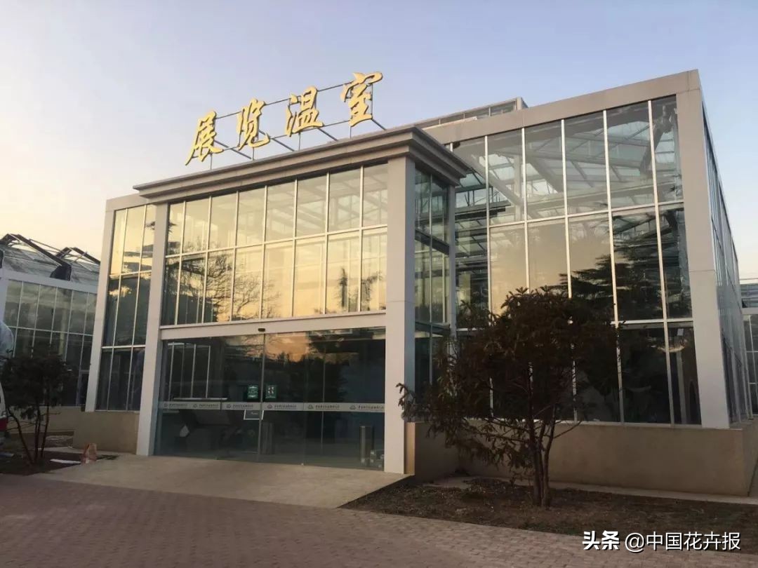 从小就觉得面包树上结的是“面包”？你只差一个亲眼看看的机会