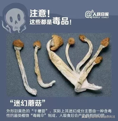 朋友圈里这款进口“*眠药安**”竟是新型*品毒**“蓝精灵”女子盲目代购成“毒贩”