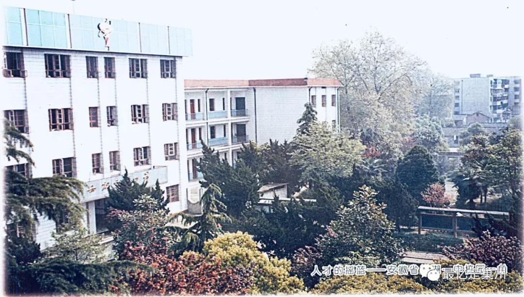 我心中的百年名校,巢湖一中曾经的辉煌