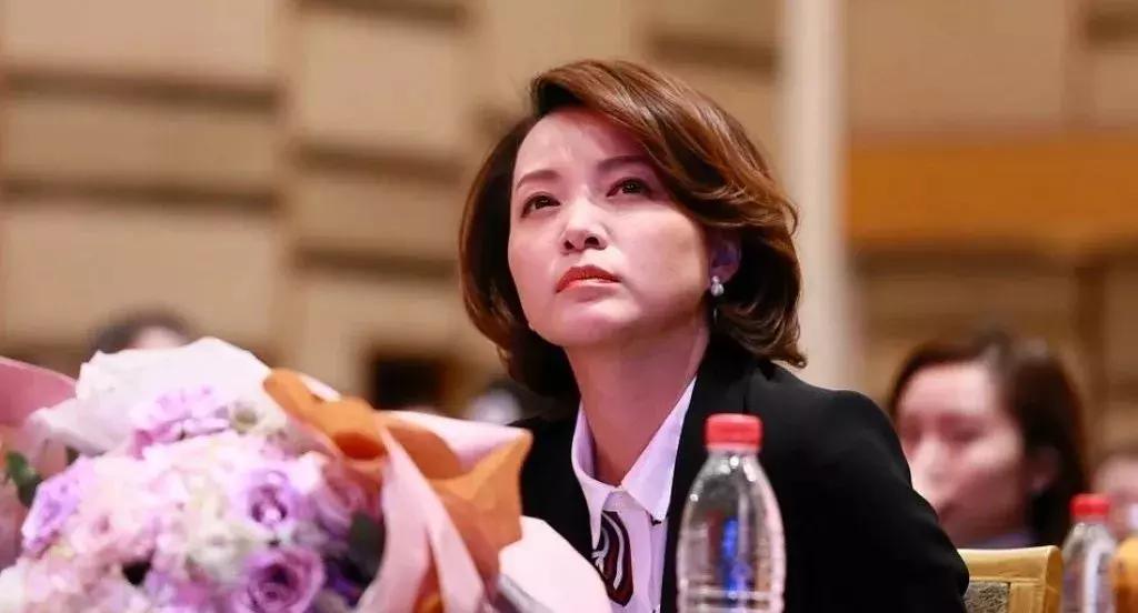 央视娱乐节目主持人董卿是哪里人,人生娱乐视频