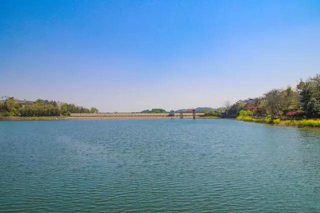 疫情过后一起来踏青吧,疫情过后一起去山花浪漫处