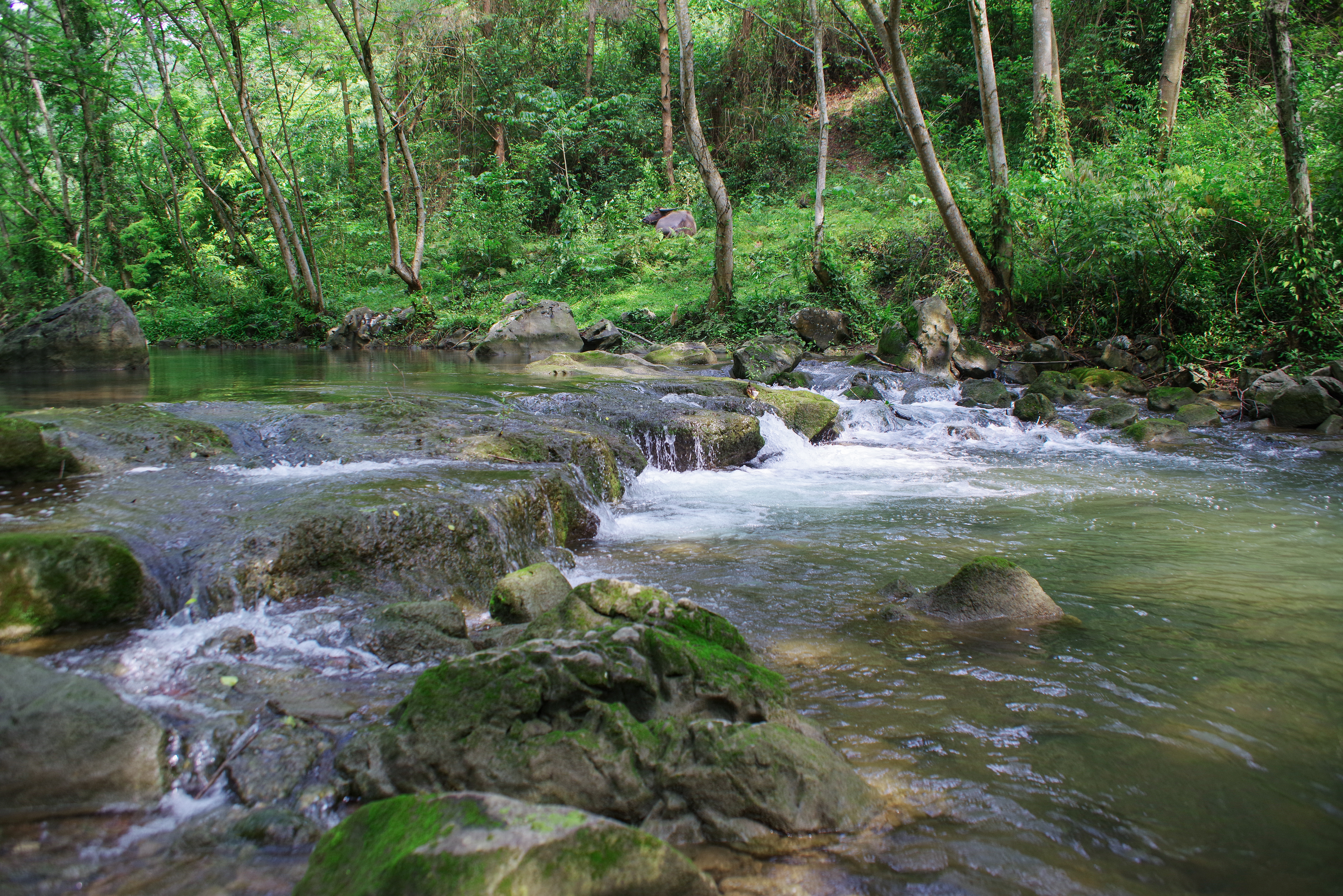 柳州鹿鸣山小七孔,柳州自驾小七孔旅游攻略