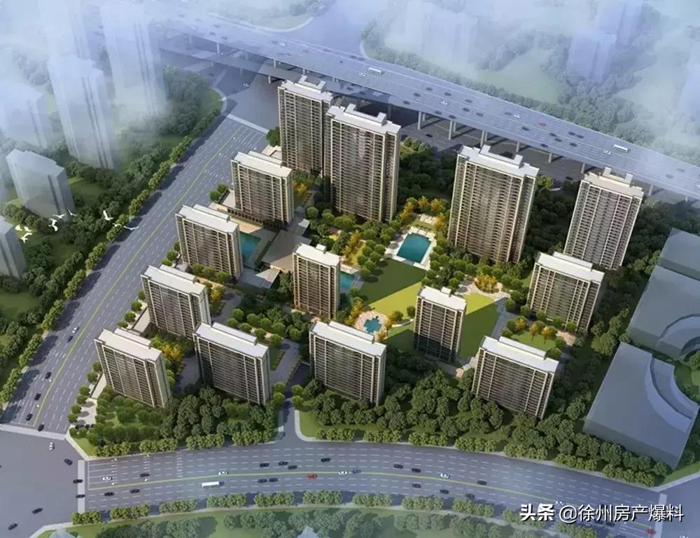 燃情足球季,苏宁足球青训