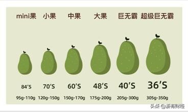 牛油果国外女生,牛油果外国女孩