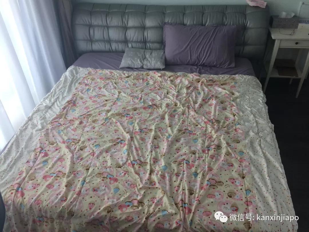 新加坡出租房子攻略,新加坡租房攻略大全图片