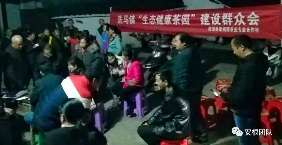 茶农怎么利润最大,茶叶合作社创新思路