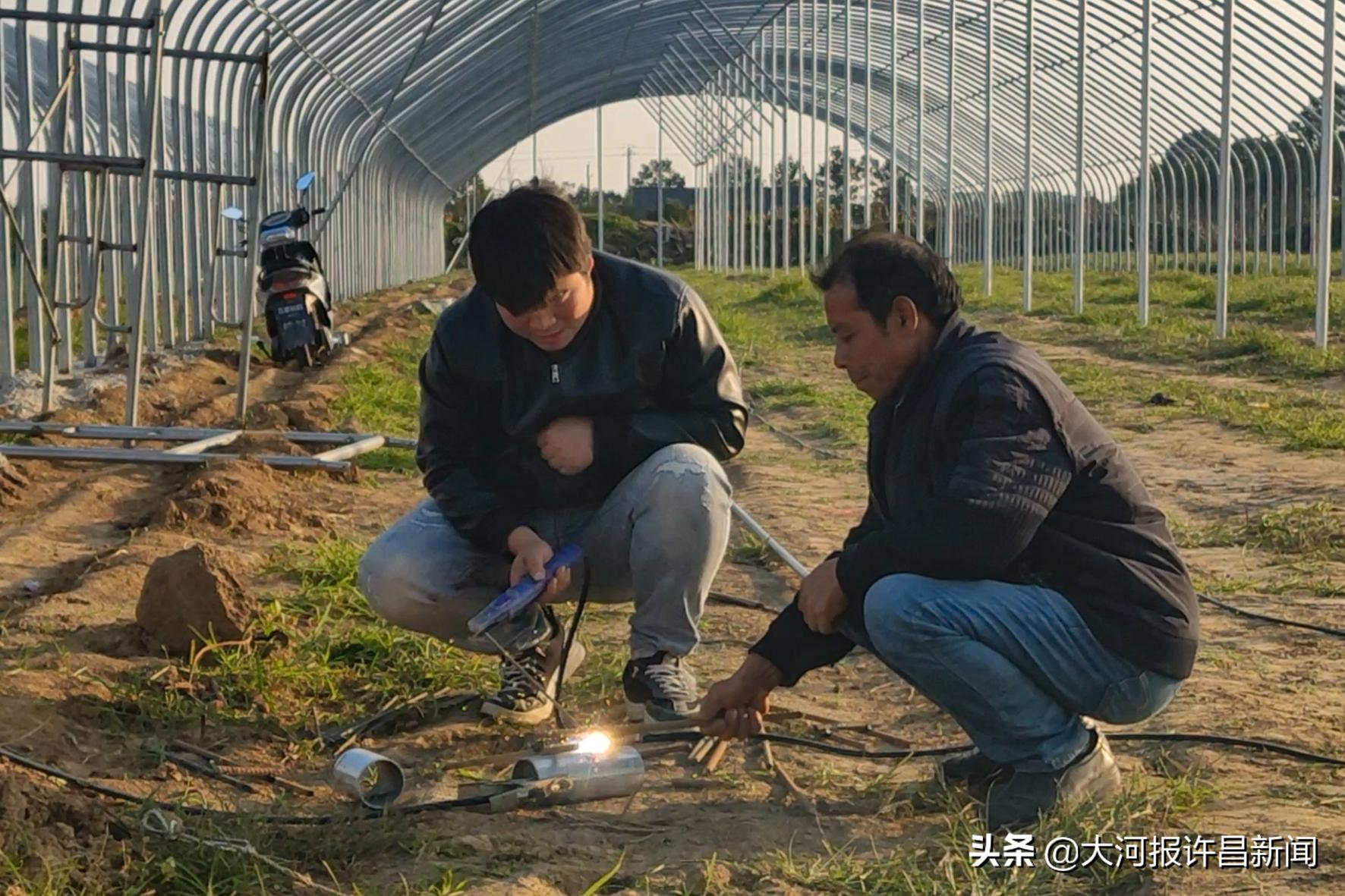 农村小伙承包80亩农田创业5年,90后小伙扎根农村办农场