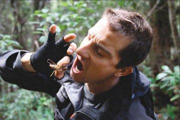 荒野求生贝尔遇到的危险,荒野求生贝尔吃东西合集