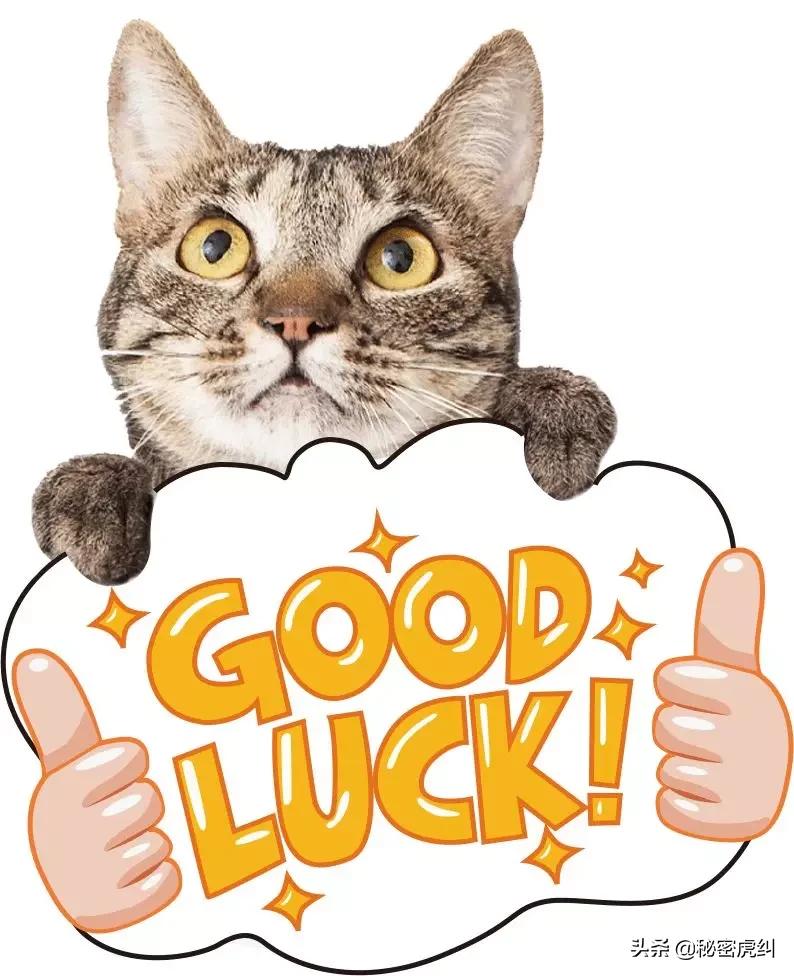 狂欢倒计时28小时！12.20-12.22，金融街万达不见不散