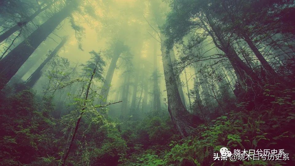 死屋西伯利亚流放制度