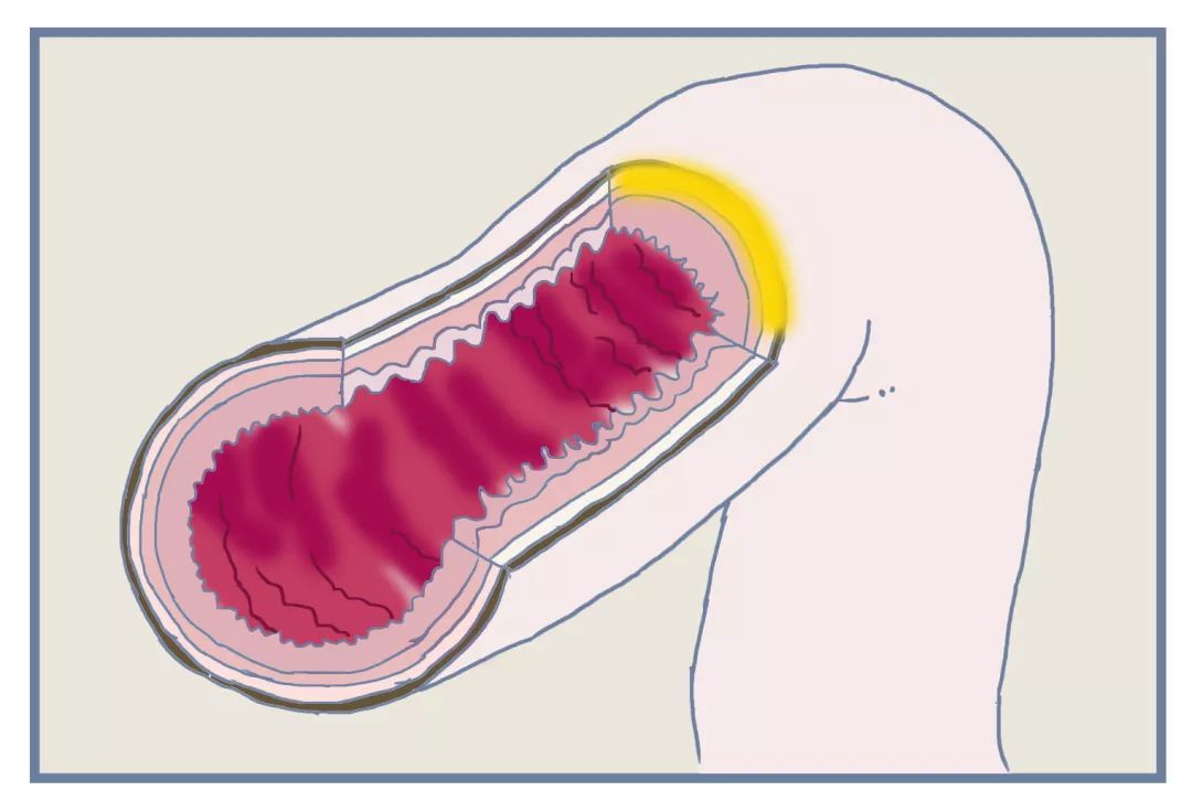 目前最前沿的便秘药,治便秘的药测评