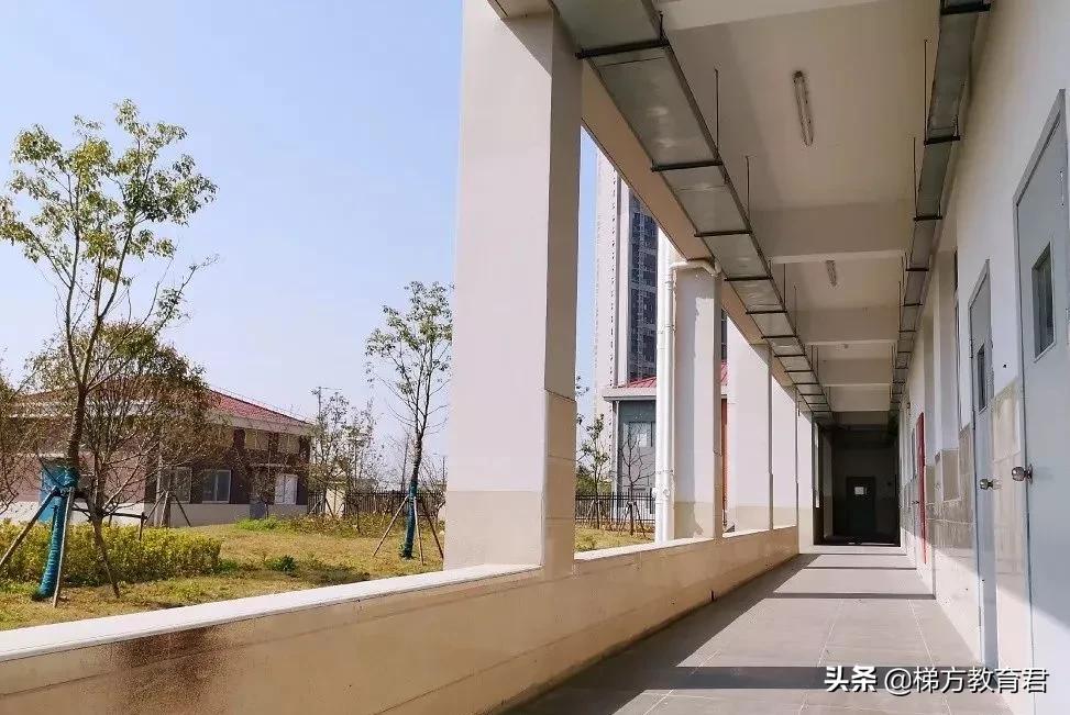 沪上今年新建15所初中!世外、复旦、未来科技!对口这些地段