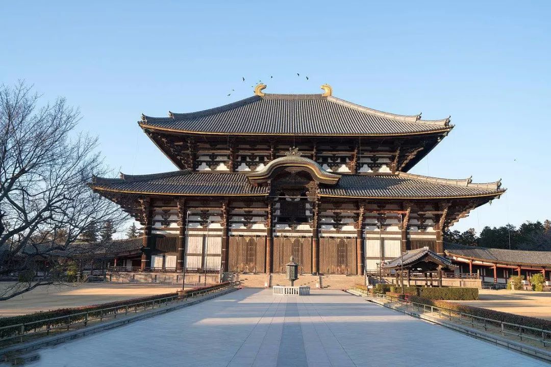 正仓院都是盛唐*物文**?事实是,95%是日本制