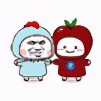 社交电商是什么和什么的汇合点 (社交电商怎么做)