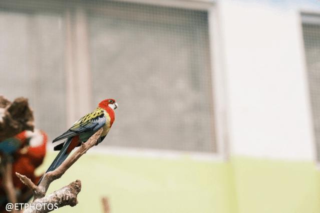 万元内微单相机全画幅,万元以内微单套机推荐