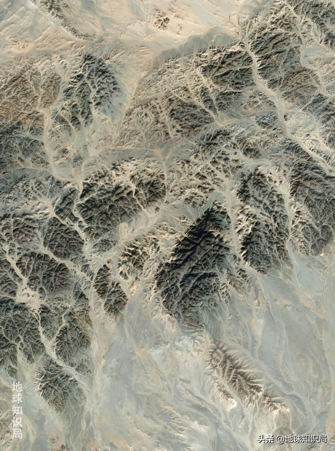 蒙古国农业潜力,蒙古国为什么适合发展畜牧业