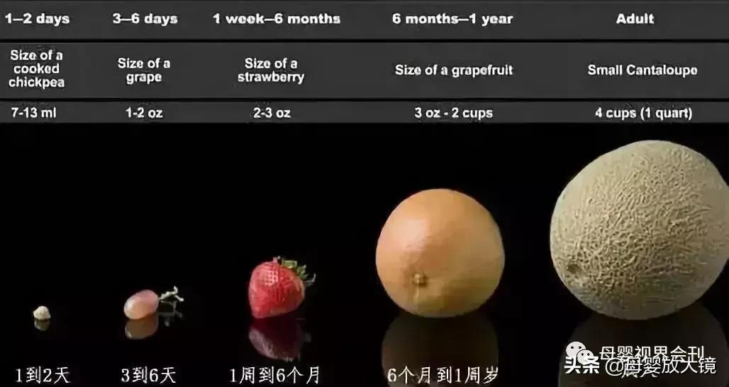 0到12岁宝宝奶量表,0到12月宝宝喝奶对照表