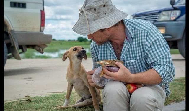 狗狗后腿突然骨折,狗狗脊椎骨骨折为什么会瘫痪