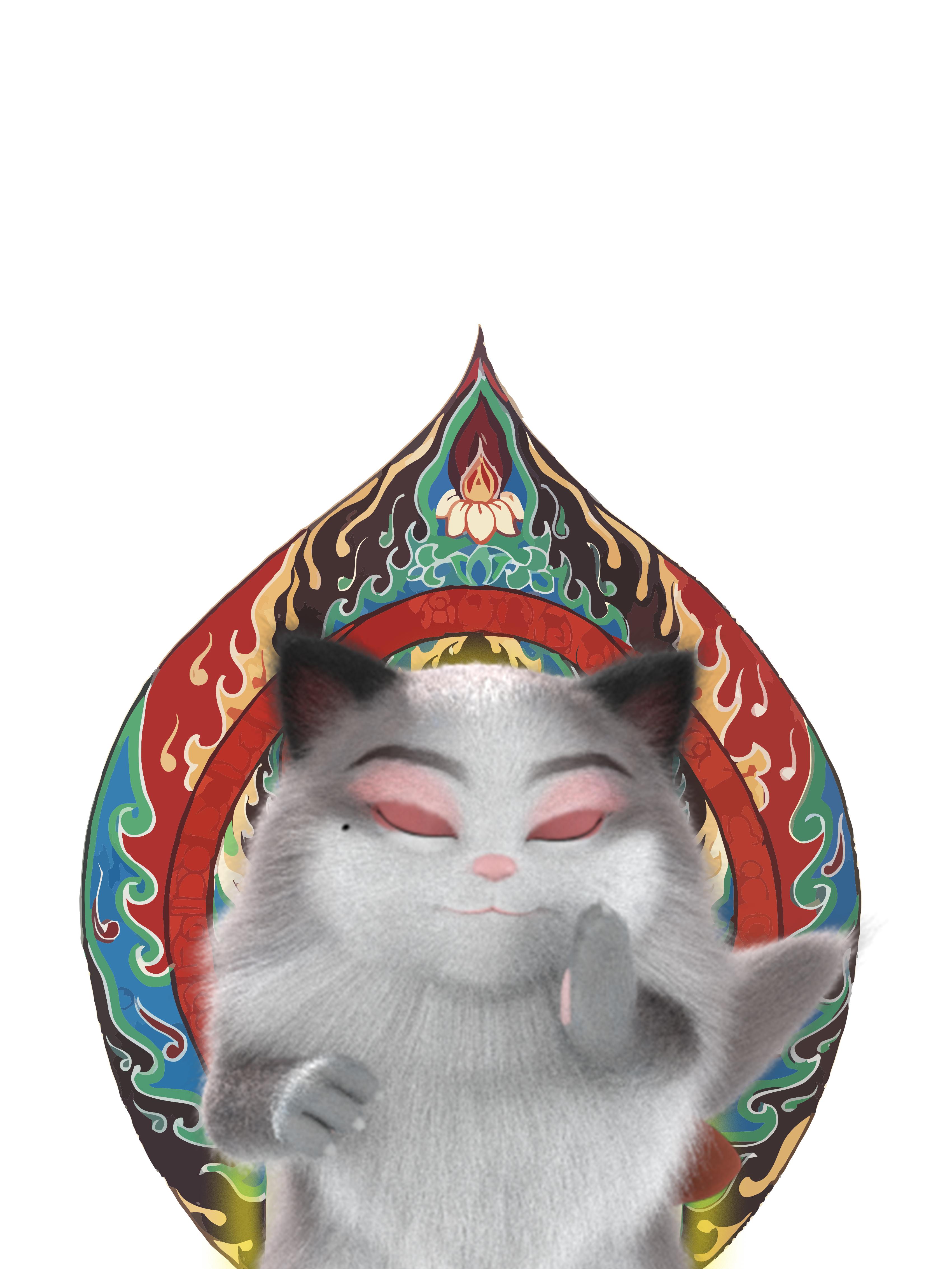 猫咪伤口化脓在家怎么处理,抓伤的伤口红肿发炎发脓怎么处理