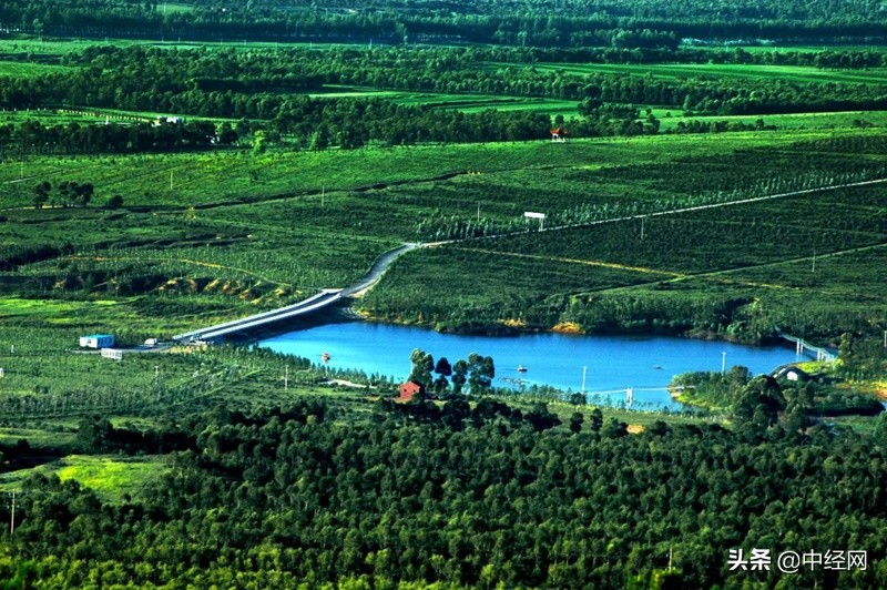 打卡塞上绿洲感受右玉精神 (塞上绿洲右玉写生季)