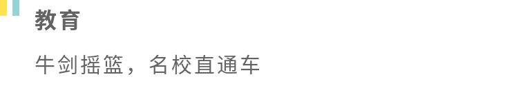 Kensington、Kingston傻傻分不清？带你走进国王的领地金斯顿