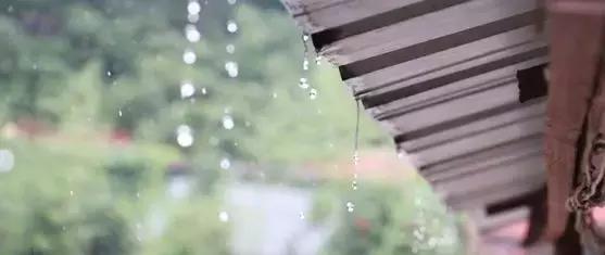 湿带着热在身体内“暴走”，不来点绝招应对可不行