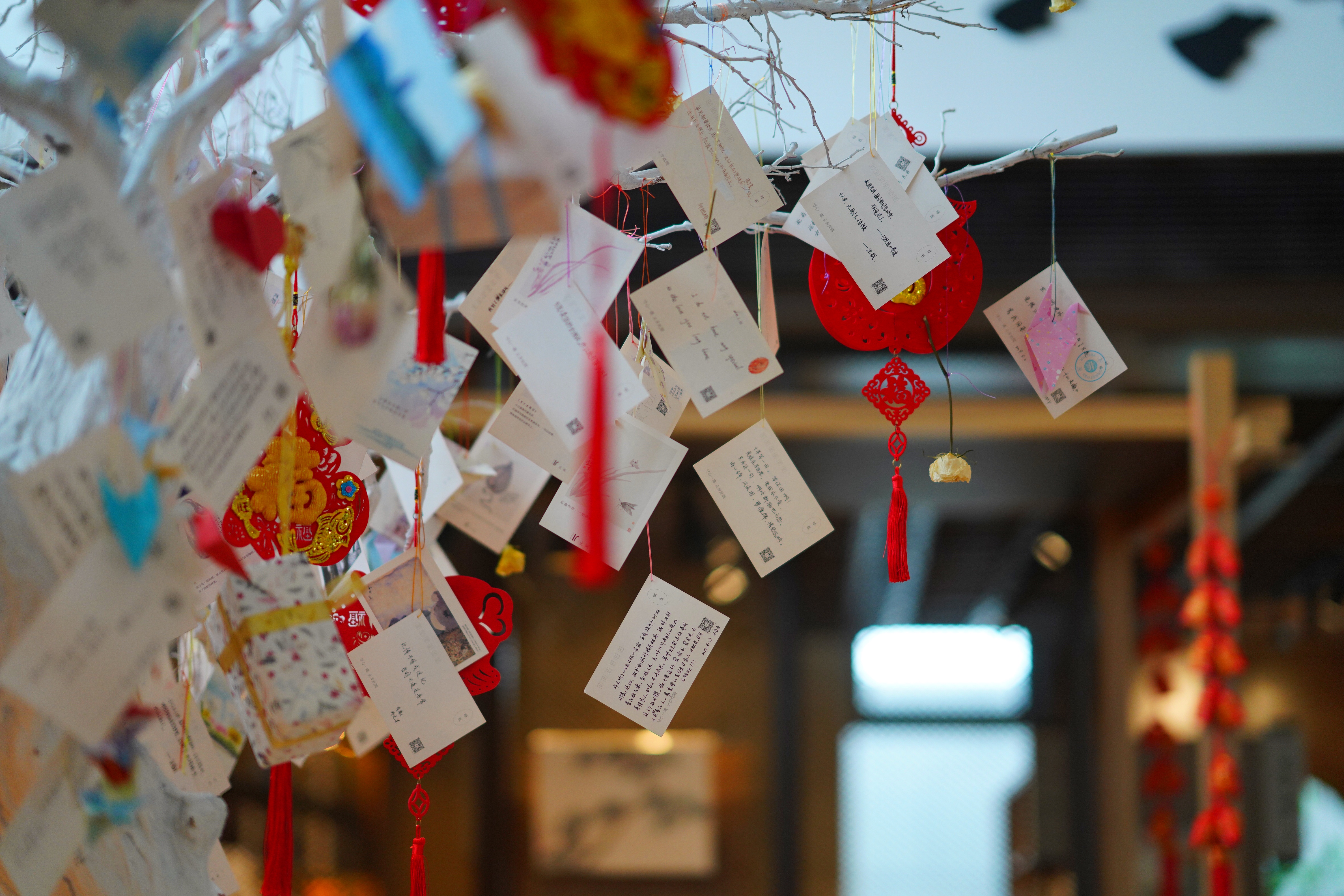 苏州特色民宿推荐,苏州最有特色民宿推荐