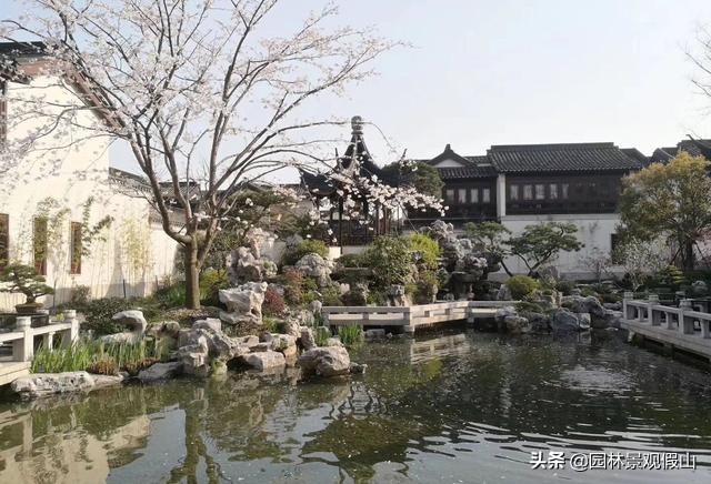 院里有假山好吗,家中院里做个竖着假山好吗