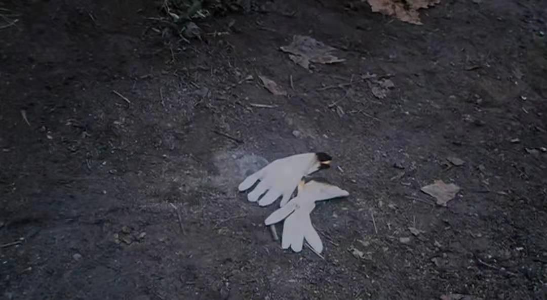 女警察与罪犯的爱情电影,关于女警察与死刑犯的电影