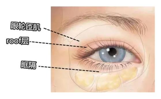龚忠华整形,龚忠华双眼皮手术后多久恢复