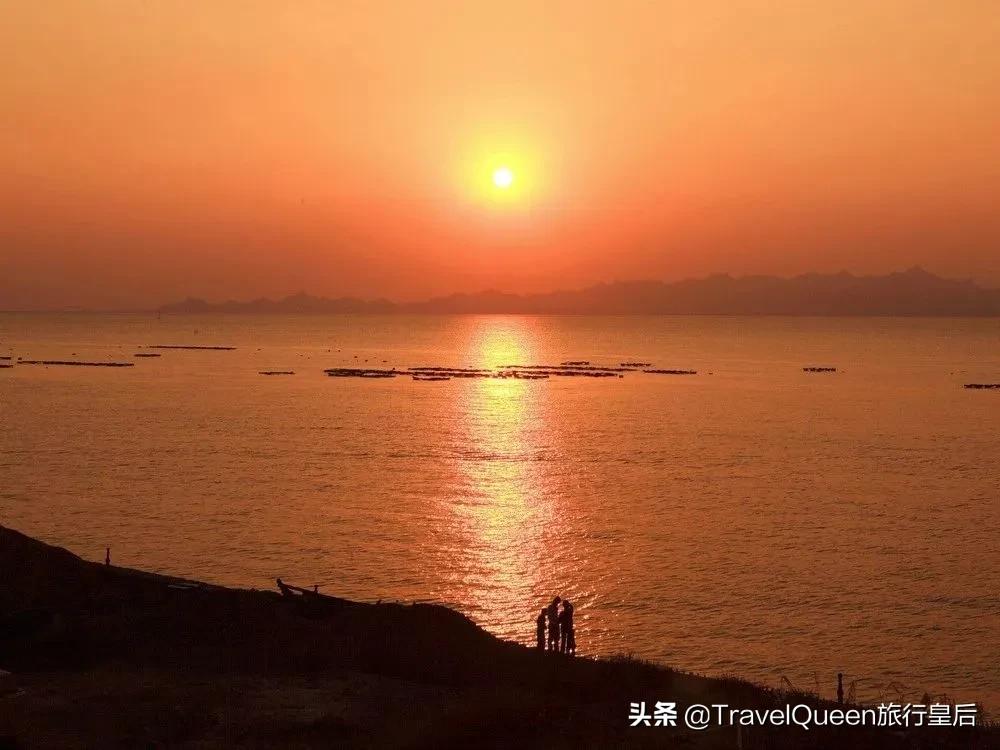 动物森友会无人岛一天可以去几次,动物森友会所有虫类图鉴