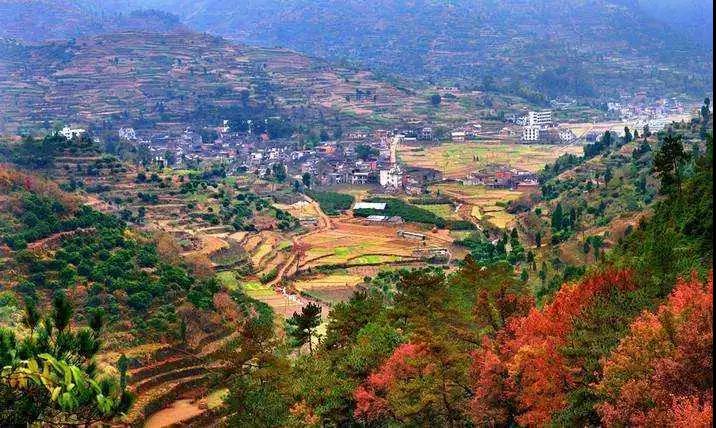 明明可以靠颜值偏要拼实力,明明可以靠颜值却偏偏要拼实力