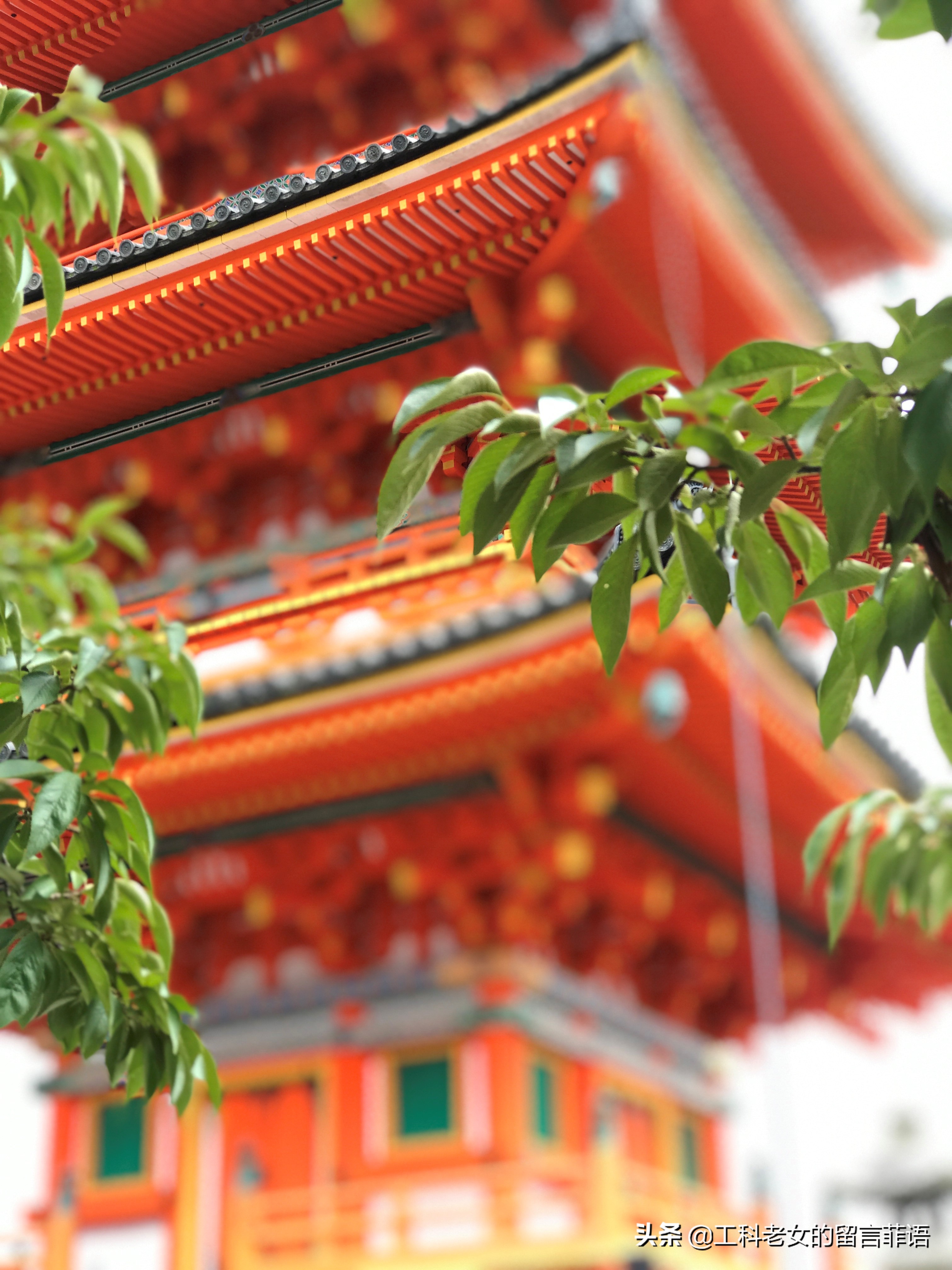 夏天去京都注意哪些事项,盛夏去哪玩